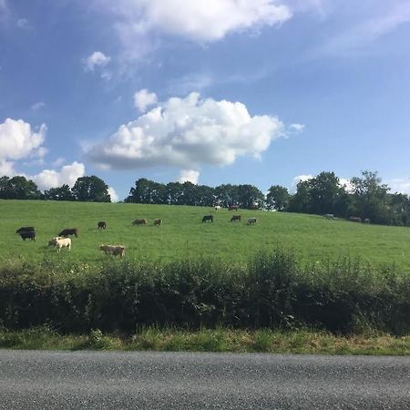 Bed and Breakfast Hillview House Cootehill Esterno foto